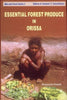 Essential Forest Produce in Orissa thumbnail 1