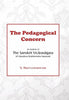 Pedagogical Concern thumbnail 1