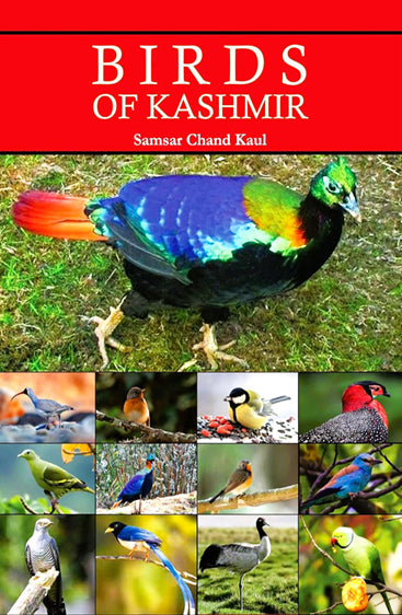 Birds of Kashmir