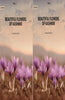 Beautiful Flowers Of Kashmir thumbnail 1