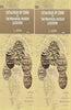 Catalogue of Coins in the Provincial Museum, Lucknow thumbnail 1