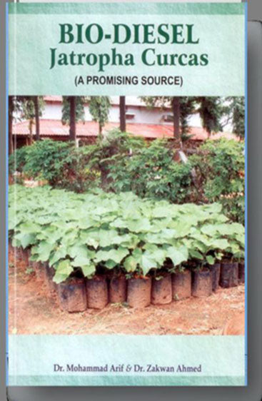 Biodiesel Jatropha Curcas (A Promising Source)