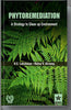 Phytoremediation: A Strategy to Clean up Environment thumbnail 1