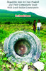 Megalithic Sites inUttar Pradesh and Their Comprative Study with South Indian Counterparts thumbnail 1