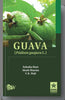 Guava: Psidium Guajava L. thumbnail 1