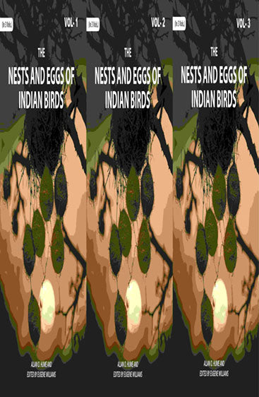 The Nests and Eggs of Indian Birds