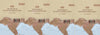 The History of the British Empire in India thumbnail 1