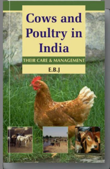 Cows and Poultry in India: Their Care and Management 2nd edn
