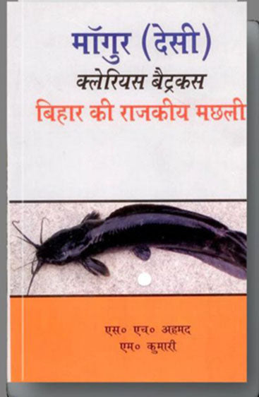 Mangur (Desi) Clarias Batrachus: Bihar Ke Rajkeeya Machali
