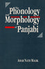 The Phonology and Morphology of Panjabi thumbnail 1