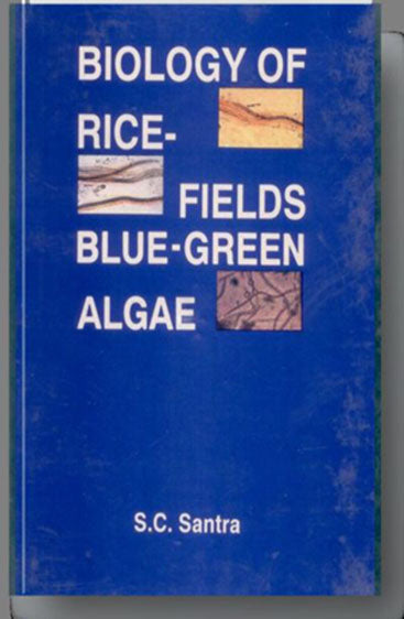 Biology of Rice-Fields Blue-Green Algae