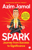 Spark: Journey from Success to Significance thumbnail 1