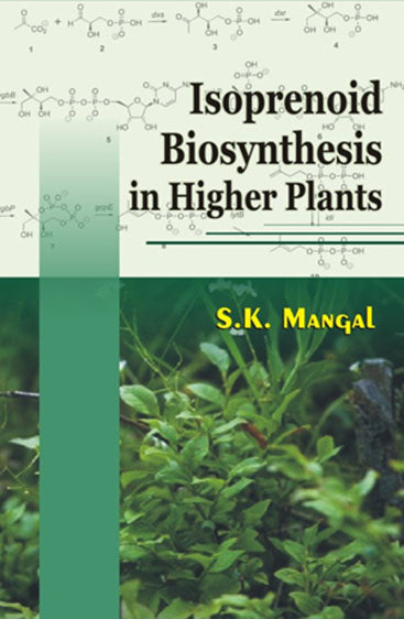 Isoprenoid Biosynthesis in Higher Plants