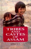 Tribes and Castes of Assam: Anthropology and Sociology thumbnail 1