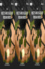 The Nests and Eggs of Indian Birds thumbnail 1