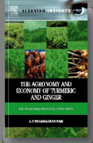Agronomy and Economy of Turmeric and Ginger: The Invaluable Medicinal Spice Crops