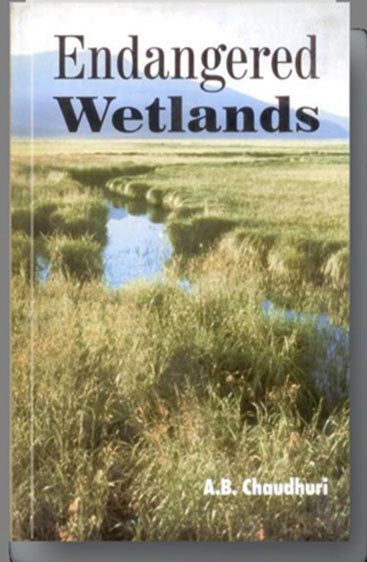 Endangered Wetlands