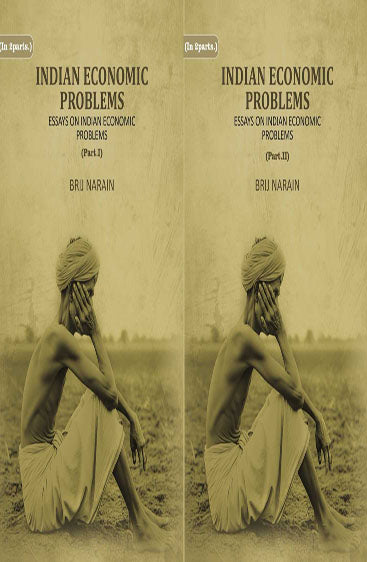 Indian Economic Problems