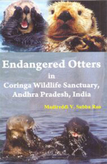 Endangered Otters in Coringa Wildlife Sanctuary Andhra Pradesh,India