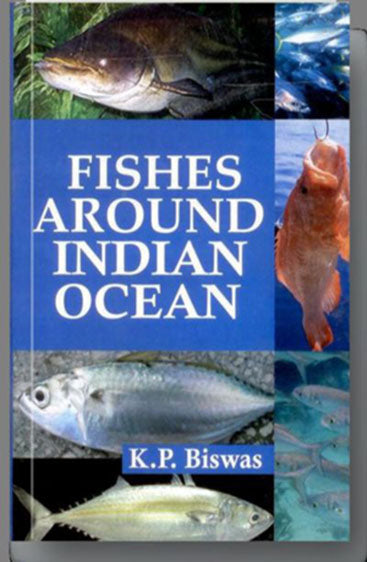 Fishes Around Indian Ocean