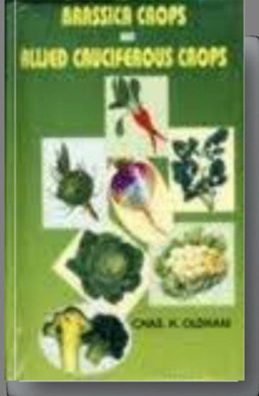 Brassica Crops and Allied Cruciferous Crops
