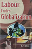 Labour Under Globalization thumbnail 1