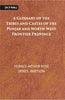 A Glossary Of The Tribes And Castes Of The Punjab And North-West Frontier Province thumbnail 1