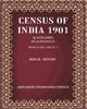 Census of India 1901: Berar - Report thumbnail 1
