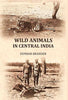 Wild animals in central India thumbnail 1