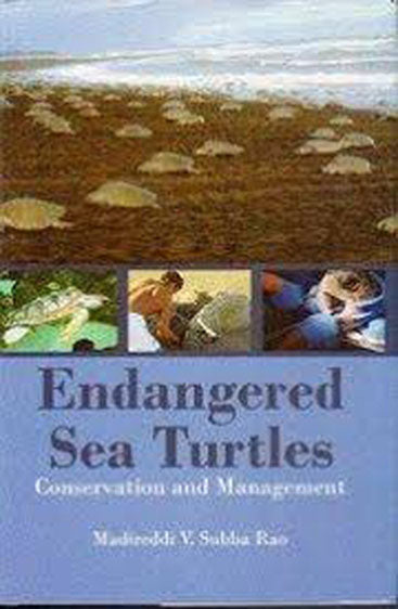 Endangered Sea Turtles: Conservation And Management