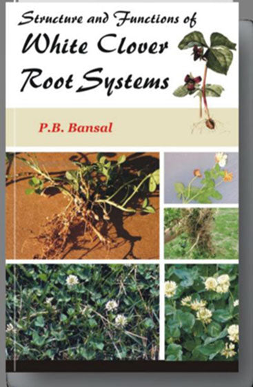 Structure and Functions of White Clover Root Systems