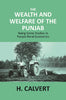 The Wealth and Welfare of the Punjab: Being Some Studies in Punjab Rural Economics thumbnail 1