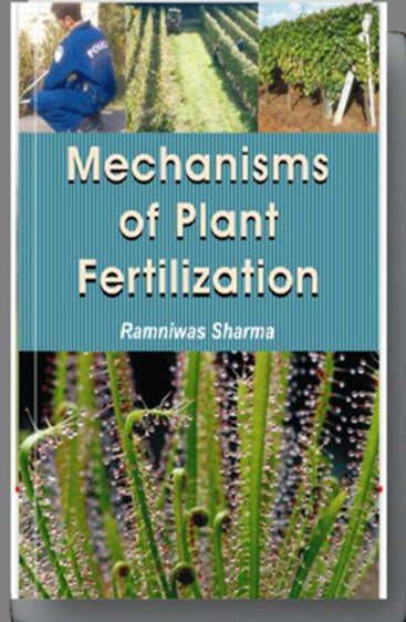 Mechanisms of Plant Fertilization