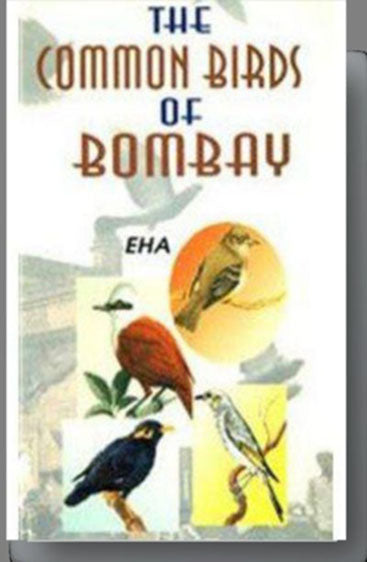 Common Birds of Bombay