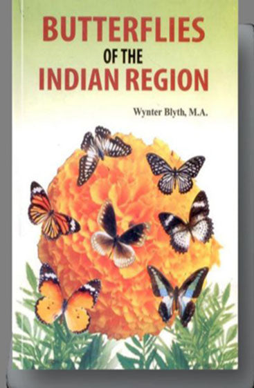 Butterflies of the Indian Region