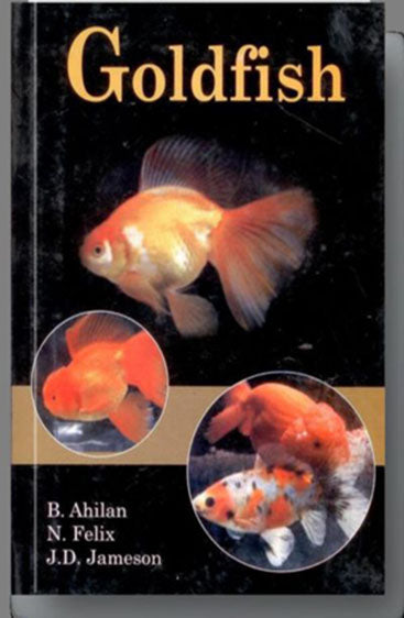 Goldfish