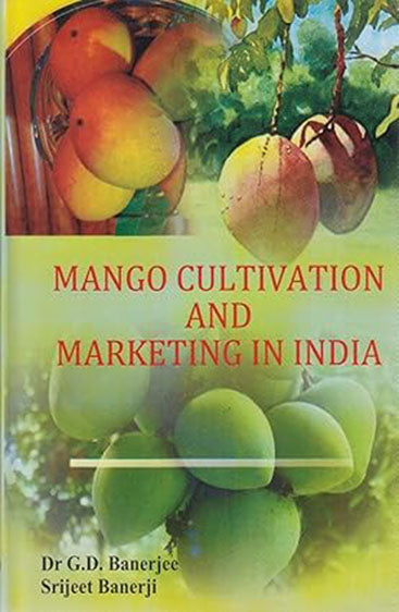 Mango Cultivation & Marketing in India