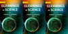 Gleanings in Science: January to December, (1829-1831) thumbnail 1