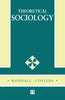 THEORETICAL SOCIOLOGY thumbnail 1
