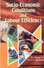 Socio-Economic Conditions and Labour Efficiency thumbnail 1