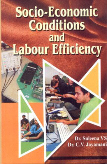 Socio-Economic Conditions and Labour Efficiency
