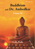Buddhism and Ambedkar thumbnail 1
