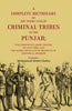 A Complete Dictionary of the Terms Used by Criminal Tribes in the Punjab; Together with a Short History of each Tribe, and the Names and Places of Residence of Individual Members thumbnail 1