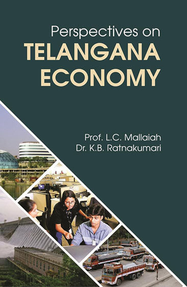 Perspectives on Telangana Economy