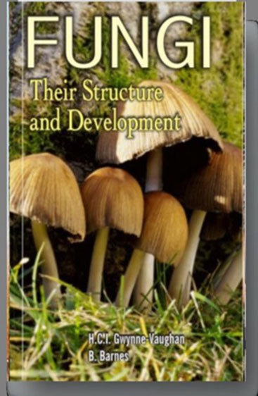 Fungi: Their Structure and Development 2nd edn