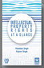 Intellectual Property Rights at a Glance thumbnail 1