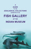 A Guide to the Zoological Collections : Exhibited in the Fish Gallery of the Indian Museum thumbnail 1