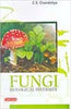 Fungi Biological Diversity thumbnail 1