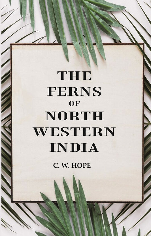 The Ferns of North Western India
