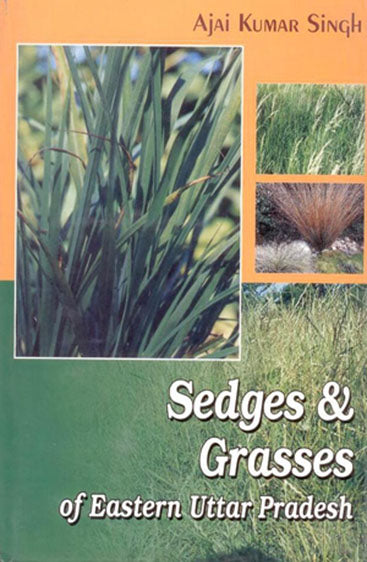 Sedges and Grasses of Eastern Uttar Pradesh in 2 Vols